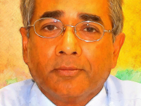 Dr. Lalgudi V Ramanathan