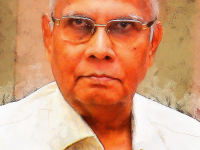 Mr. S. Srinivasan