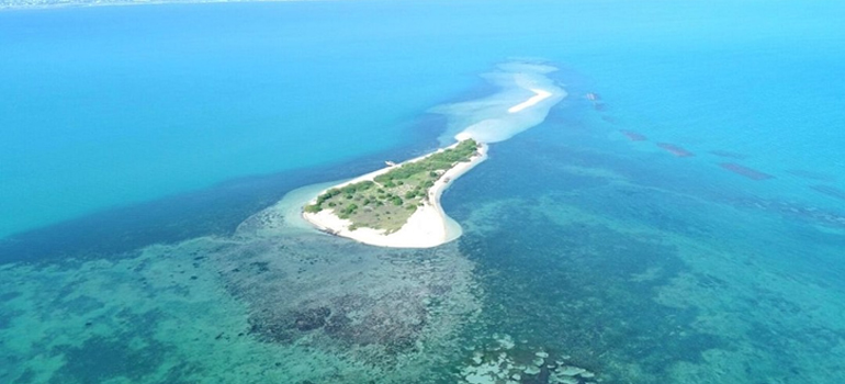 How Scientists & IITians are Preventing an Island from Drowning off the TN Coast
