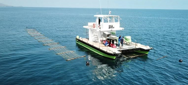 An IITM alumnus founded startup could revolutionize ocean farming with its ‘sea combine harvester’