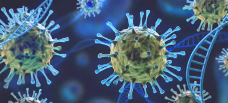 IIT Madras researchers develop database on coronavirus antibodies
