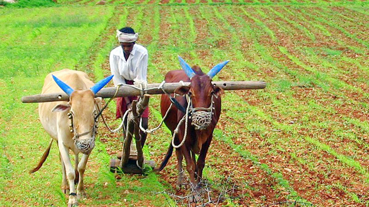 IIT Madras researchers devise a mathematical model that promises equal benefits to both farmers & agri-firms