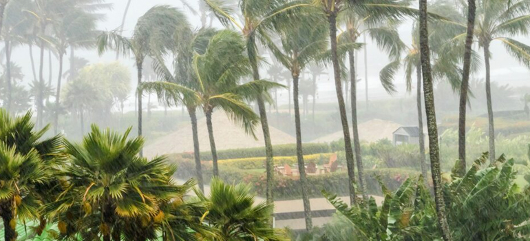 IIT Madras & German scientists explore the interaction between two cyclones & predicts cyclone merging