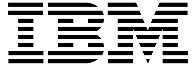 IBM India Private Limited