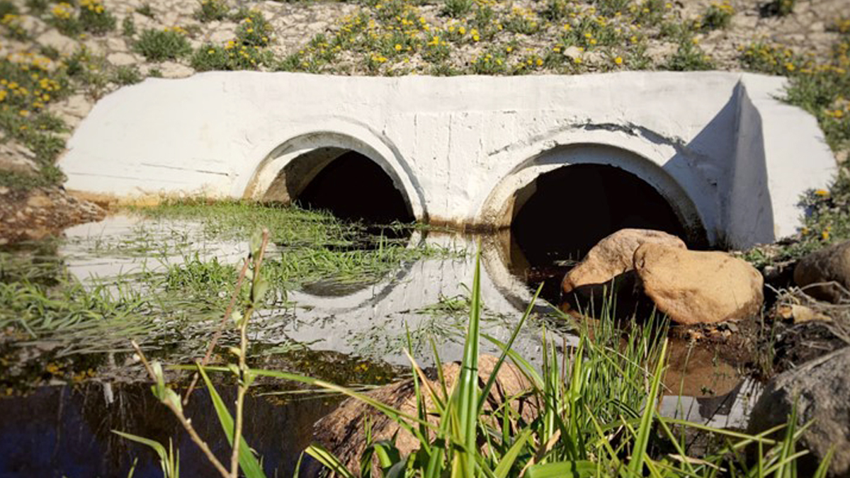 IITM to Lead Comprehensive Drainage and Water Body Analysis in Chennai